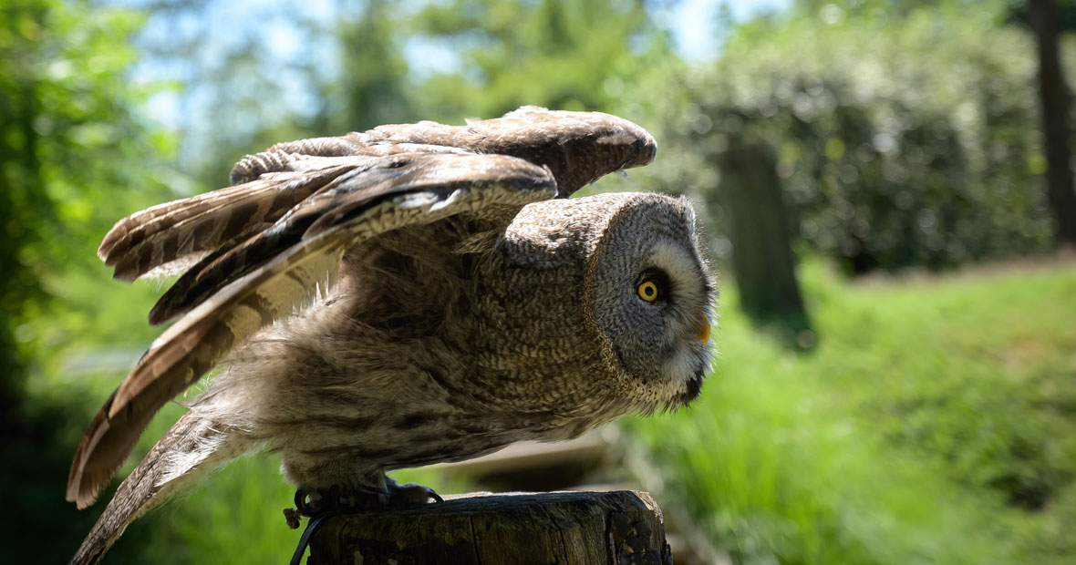 parc animalier à Annecy