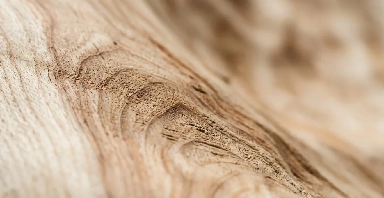 Gros plan sur les textures naturelles et la qualité du bois massif pour jouets durables